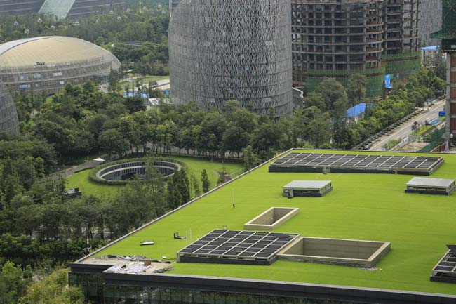 湖南完美体育生态环境建设有限公司,人造草坪假草皮,湖南雨水收集处理工艺